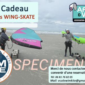 Bon cadeau 2 séance Wing Skate