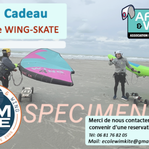 Bon cadeau 1 séance Wing Skate
